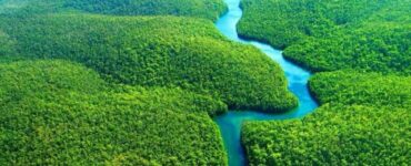 Brasil terá primeiro projeto do mundo na metodologia VM0048