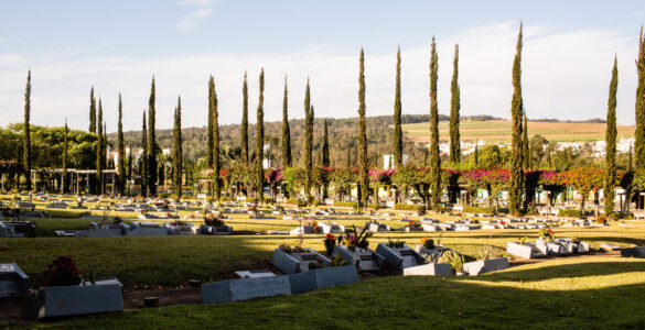 Grupo Zelo amplia geolocalização de jazigos em Finados