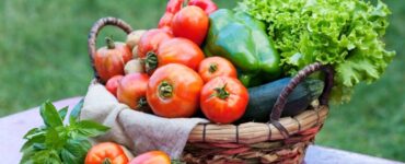 Orgânicos ganham destaque com a chegada da primavera