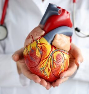 Doenças cardiovasculares lideram mortes no Brasil