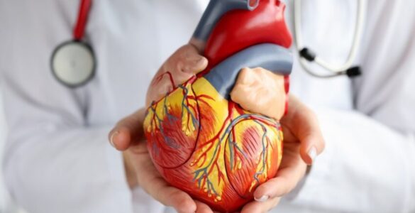Doenças cardiovasculares lideram mortes no Brasil