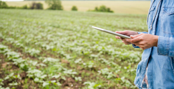 Agro em transformação: tecnologias devem redefinir o campo
