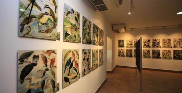 Curadora do legado de Goeldi retorna à Amazônia para a COP30