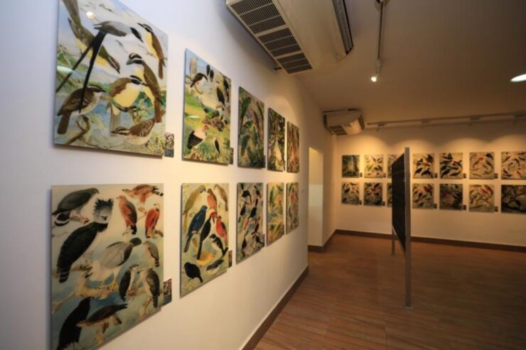 Curadora do legado de Goeldi retorna à Amazônia para a COP30