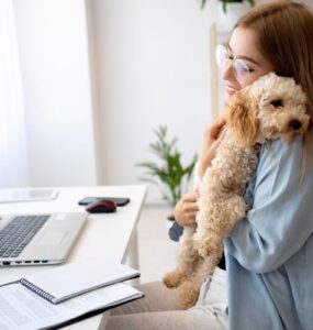 Telemedicina veterinária avança e muda rotina de atendimento