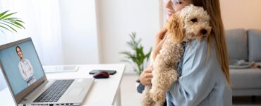 Telemedicina veterinária avança e muda rotina de atendimento