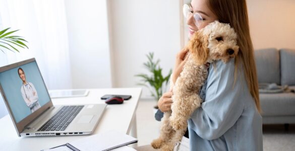 Telemedicina veterinária avança e muda rotina de atendimento