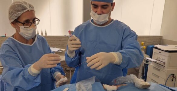 Biópsia de mama com resultado em 24h acelera diagnóstico