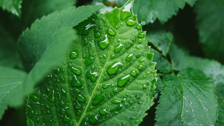 Alta no mercado de fertilizantes favorece indústria química