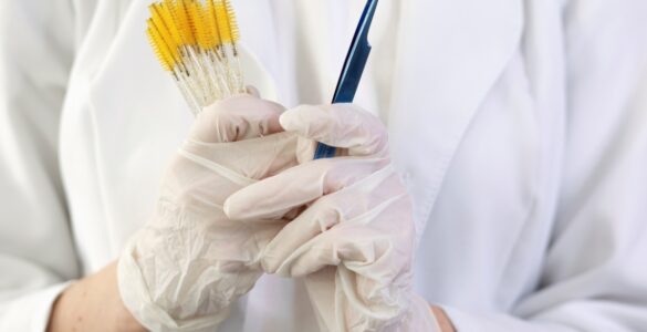 Escovas técnicas apoiam a higiene no setor farmacêutico