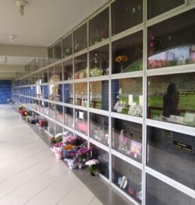 Setor funerário inova, cresce e tem foco sustentável