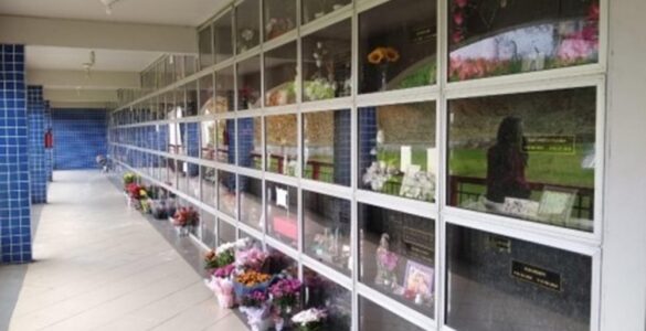Setor funerário inova, cresce e tem foco sustentável
