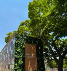 Grupo Maya promove acolhimento no Dia de Finados