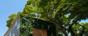 Grupo Maya promove acolhimento no Dia de Finados