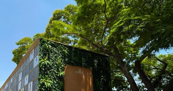 Grupo Maya promove acolhimento no Dia de Finados