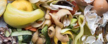 Pacto une setores para combater desperdício de alimentos