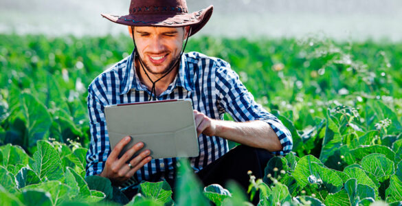 Tecnologia brasileira impulsiona a inovação no agronegócio