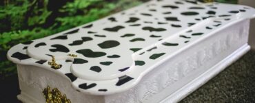 Especialistas reforçam acolhimento no luto por pets