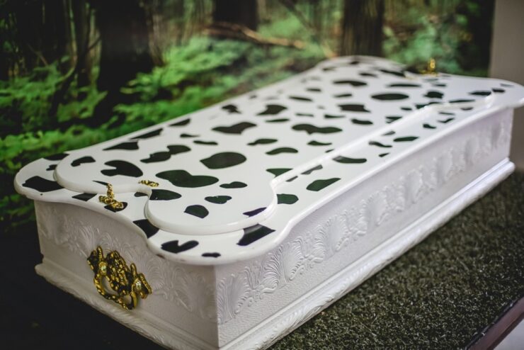 Especialistas reforçam acolhimento no luto por pets