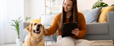 PetCerto: plataforma compara preços de produtos para pets