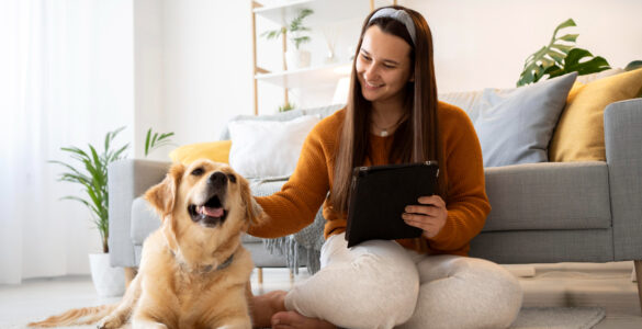PetCerto: plataforma compara preços de produtos para pets