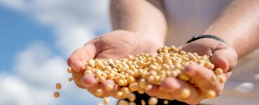 Fiagros ganham novo impulso com marco regulatório