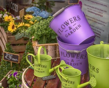 Marketing digital impulsiona crescimento e fidelização nas floriculturas