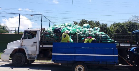 Praias de Búzios têm retirada de 2 toneladas de resíduos em ação de limpeza