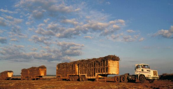 Alerta de buracos reduz custos no transporte de cana-de-açúcar