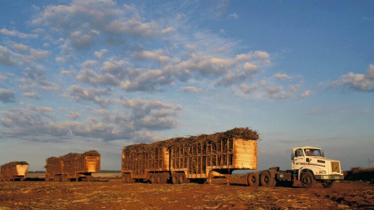 Alerta de buracos reduz custos no transporte de cana-de-açúcar
