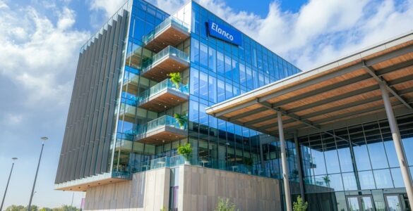 Elanco cresce no 3º trimestre e eleva projeções para o ano