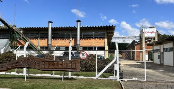 Fábrica da Yakult em Santa Catarina recebe certificação internacional