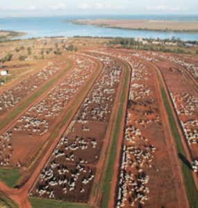Colpar Agro é eleita 8ª maior empresa agropecuária nacional