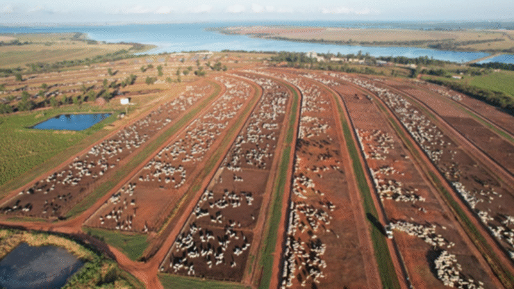 Colpar Agro é eleita 8ª maior empresa agropecuária nacional