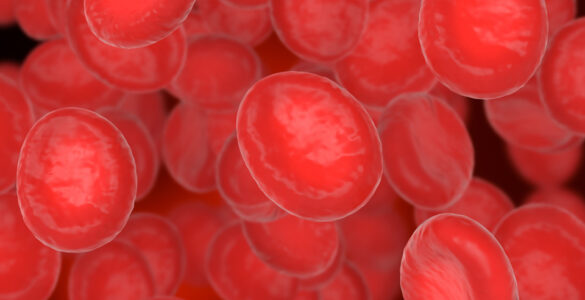 Novo tratamento para mieloma múltiplo é aprovado pela Anvisa