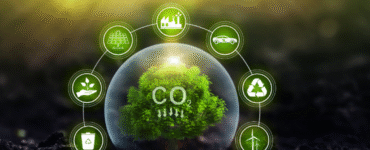 FutureClimate integra iniciativa global de remoção de CO₂