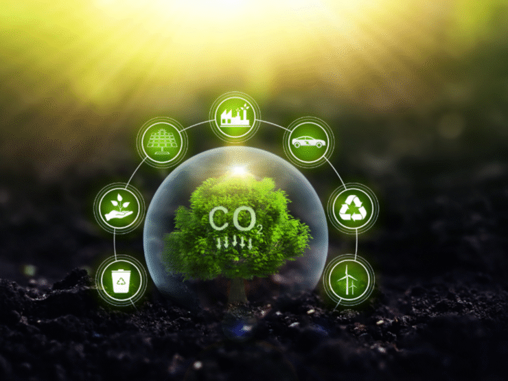 FutureClimate integra iniciativa global de remoção de CO₂