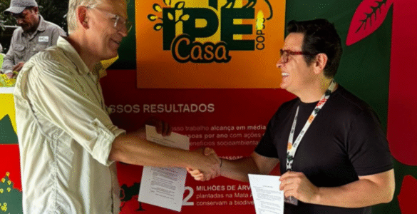 FutureClimate e IPÊ unem esforços pela restauração