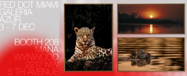 Fotógrafo brasileiro leva o Pantanal à Art Basel Miami 2025