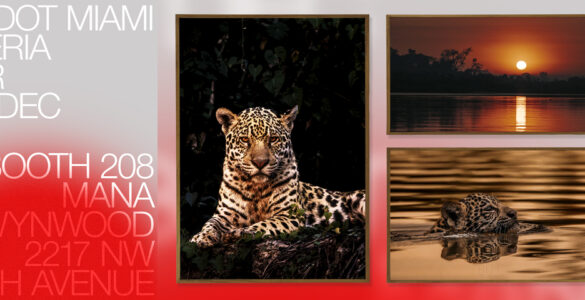 Fotógrafo brasileiro leva o Pantanal à Art Basel Miami 2025
