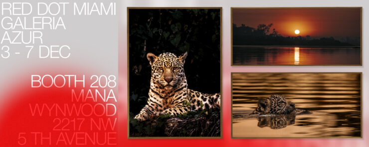 Fotógrafo brasileiro leva o Pantanal à Art Basel Miami 2025