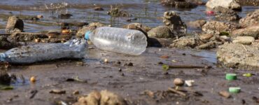Humanidade gera mais de 400 milhões de toneladas de plástico