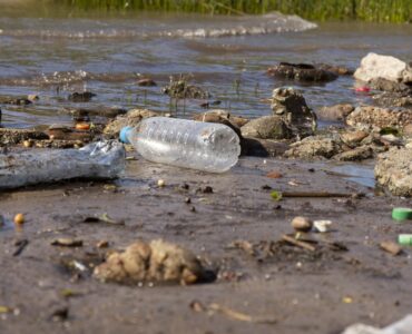 Humanidade gera mais de 400 milhões de toneladas de plástico