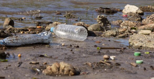 Humanidade gera mais de 400 milhões de toneladas de plástico