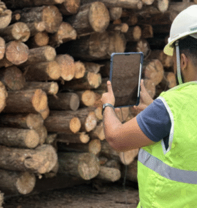 Pixlog é uma das Top 10 premiadas no Show Florestal