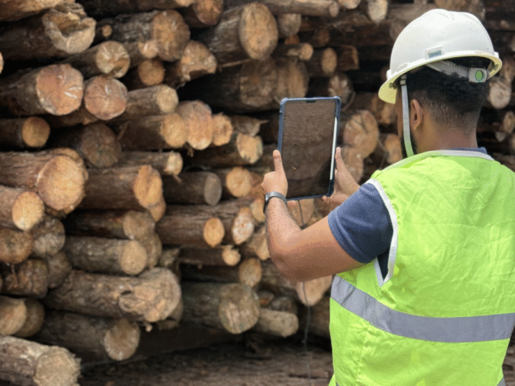 Pixlog é uma das Top 10 premiadas no Show Florestal