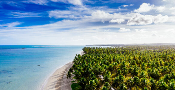 Bahia recebe cinco certificações do programa Bandeira Azul