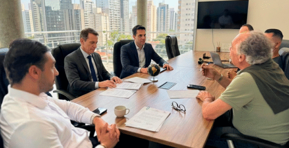 Preparação fortalece empresas e eleva valor em M&A