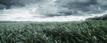 La Niña altera regime de chuvas e exige manejo no agro