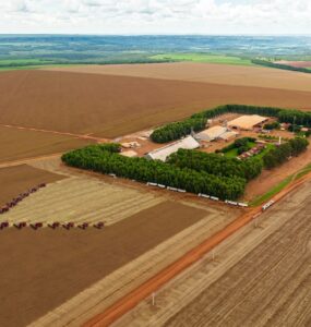 Grupo Bom Jesus implementa novas práticas de governança